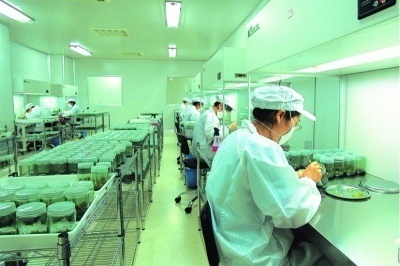 《電子廠招聘陷阱多，暑假工選勞務需謹慎》